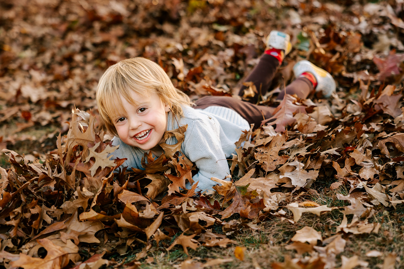 A toddler in brown pants plays in a lawn full of leaves after meeting Boston Nannies