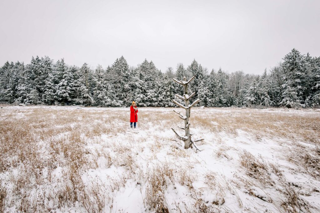 Girl in a red coat and yellow hat stands in the middle of a snowy meadow drawing a tree.