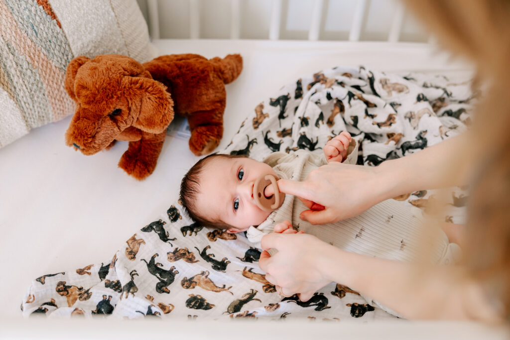 Week-old baby laying on a swaddling blanket with daschunds printed all over it, a stuffed brown daschund above his head.