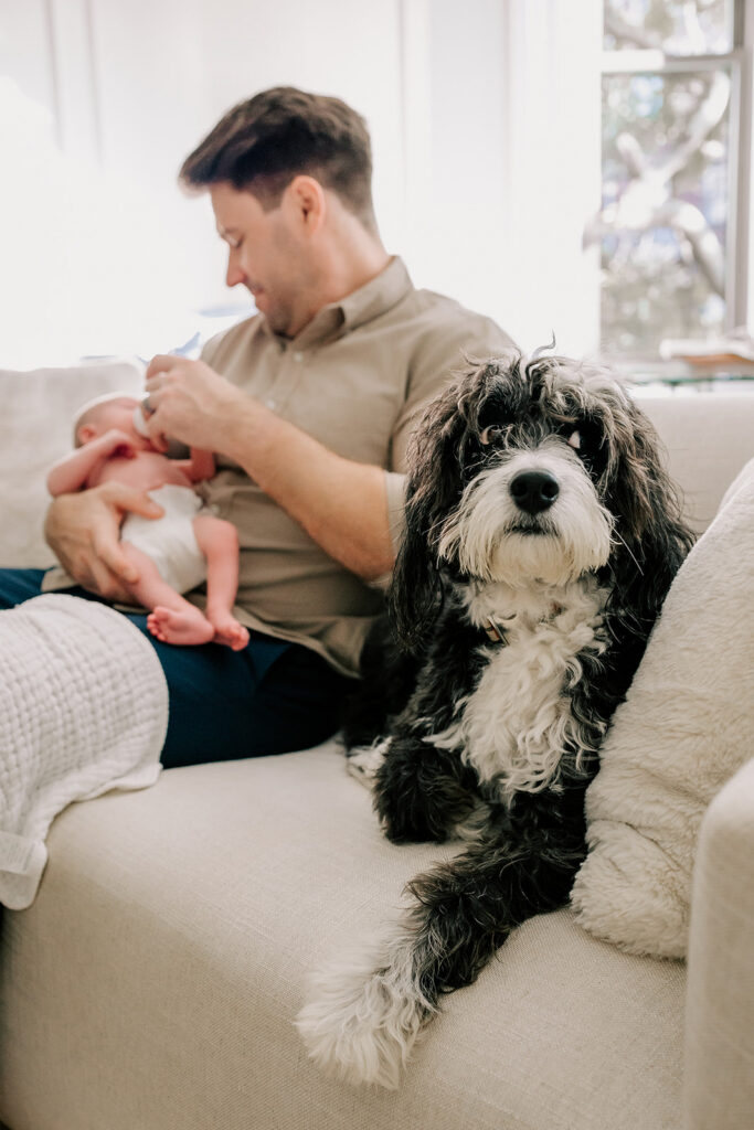 A new dad holds his newborn child while sitting on a tan couch with their doodle dog next to them after finding a pediatric chiropractor in Boston.
